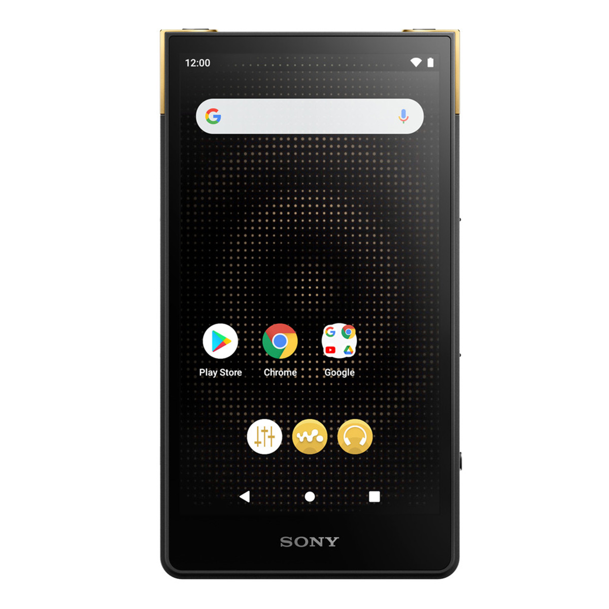 Sony NW-WM1ZM2 256GB Signature Series Premium Digital Music Player